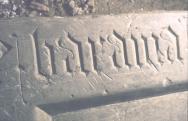 Laus Pannoniae II. - Kutatások a Janus Pannonius Múzeumban